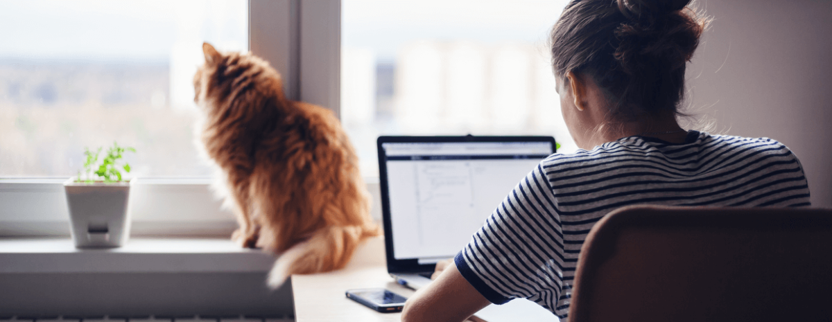 Woman working at home and cat sitting on the window